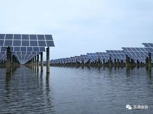 6.webp.jpg 6.webp.jpg